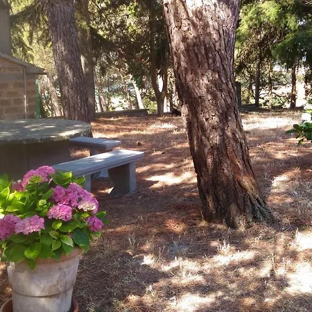 Agriturismo Sant'angelo Farm stay