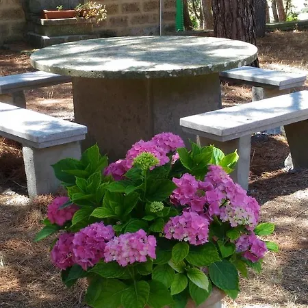 Agriturismo Sant'angelo Farm stay