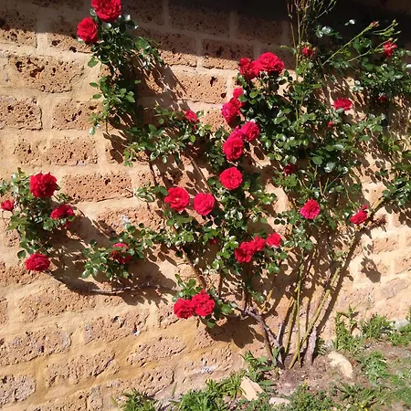 Agriturismo Sant'angelo *