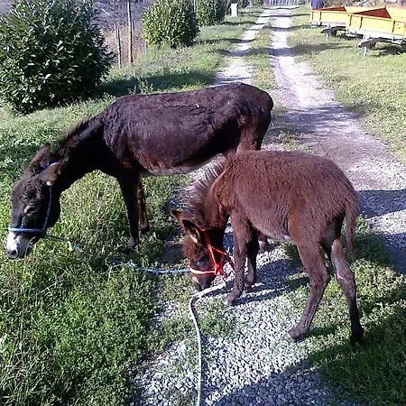Agriturismo Sant'angelo Farm stay *