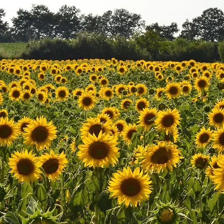 Alloggio per agriturismo Sant'angelo Acquapendente